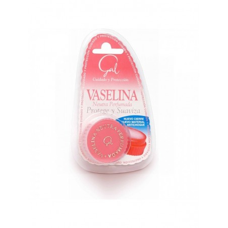 Gal Vaselina Neutra Perfumada 13ml